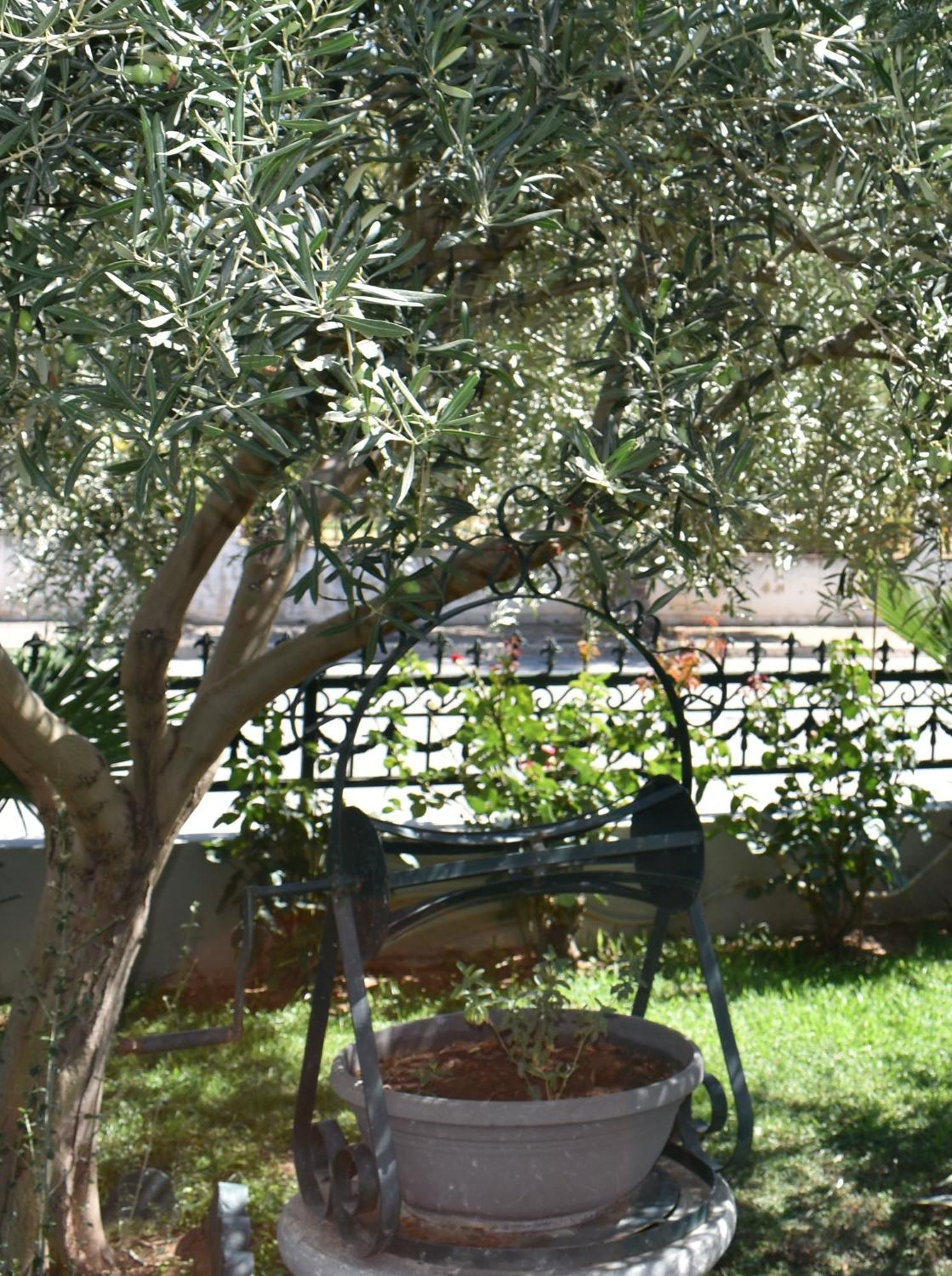 Ni & Νa Apartment Dedeağaç Dış mekan fotoğraf